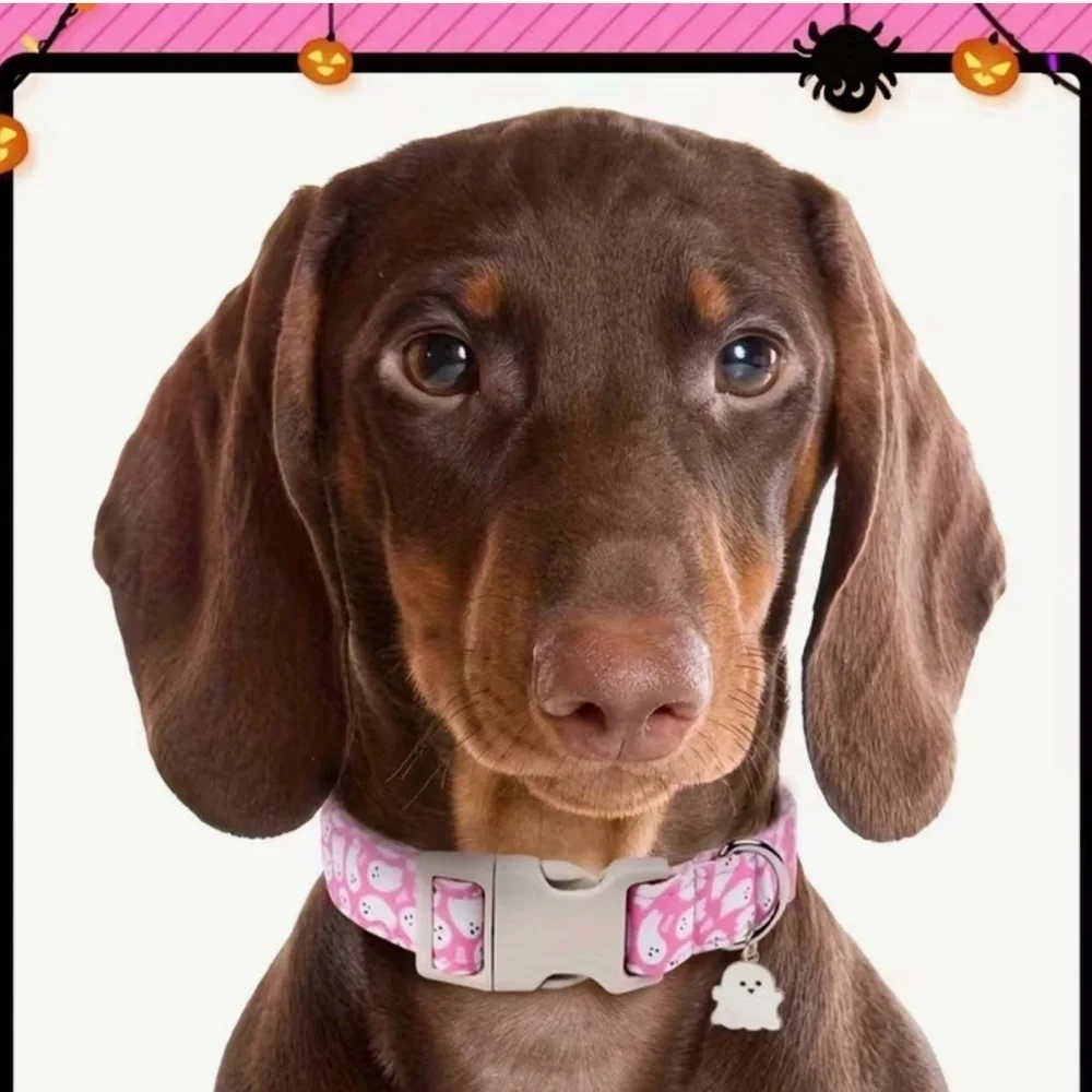 Pink Ghost Pattern Pet Collar with Ghost Charm